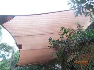 sail shade